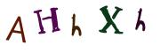 Recopier le code Captcha de l'image