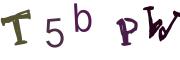 Recopier le code Captcha de l'image